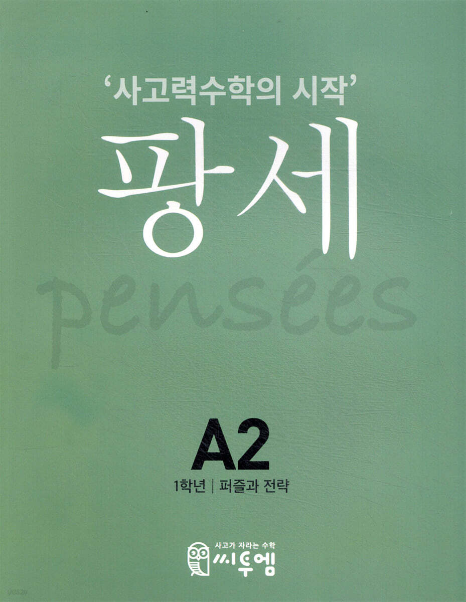 팡세 A-2 퍼즐과 전략