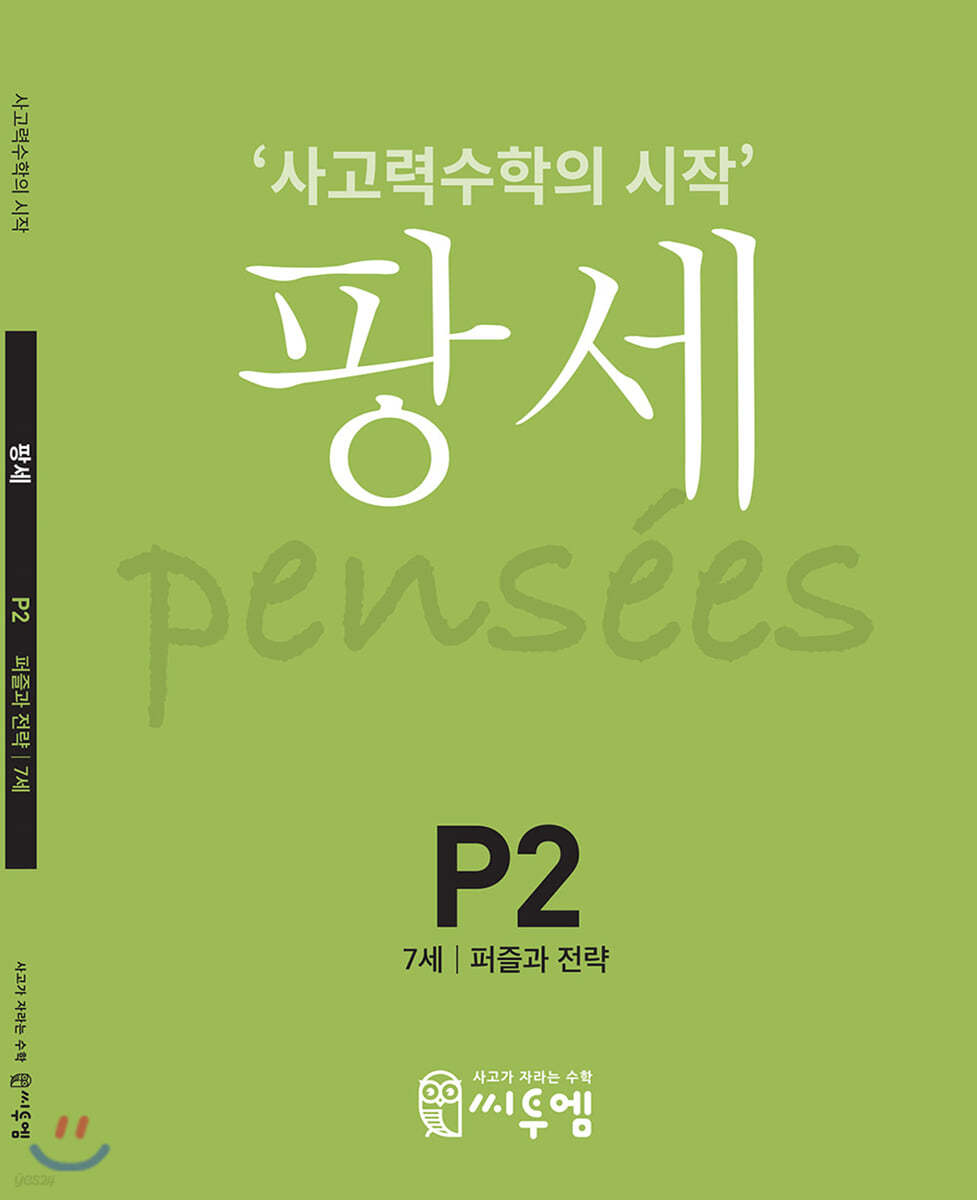 팡세 P-2 퍼즐과 전략