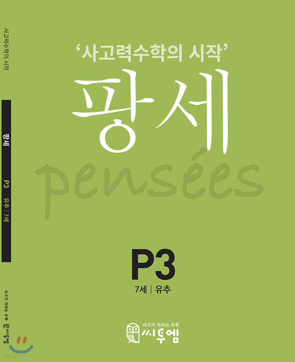 팡세 P-3 유추