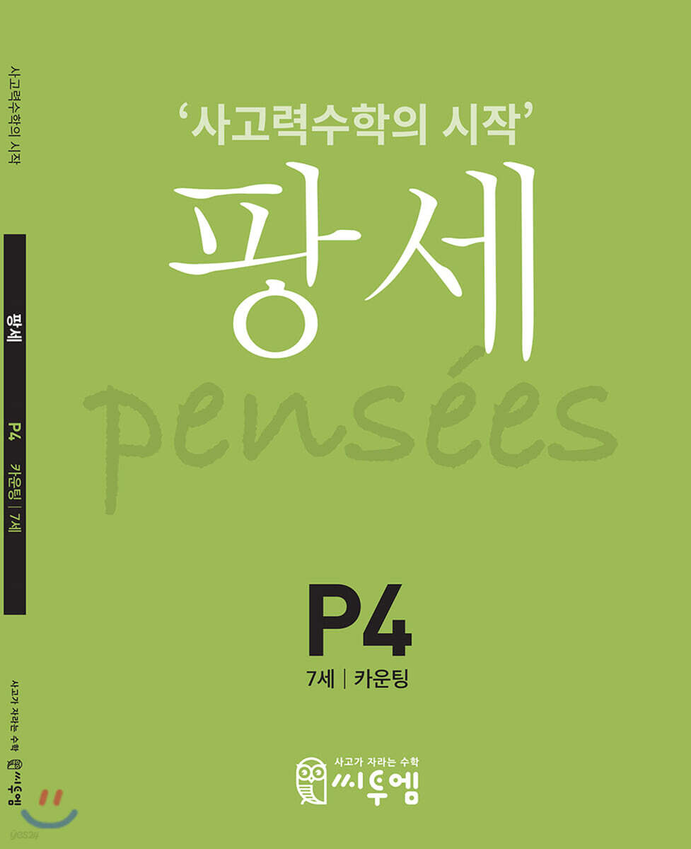 팡세 P-4 카운팅