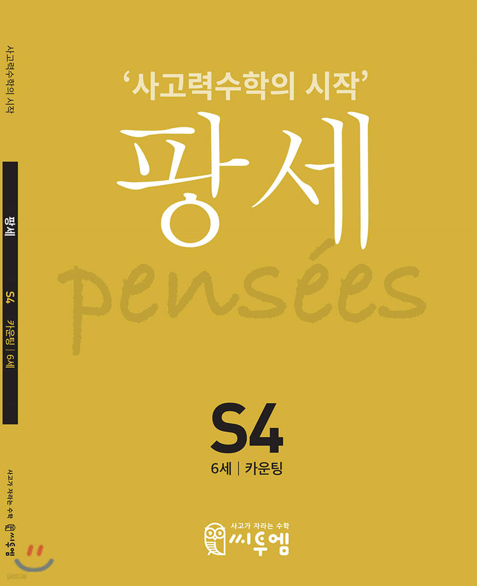 팡세 S-4 카운팅