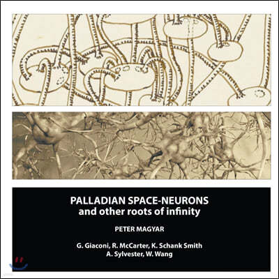 Palladian Space-Neurons and Other Roots of Infinity