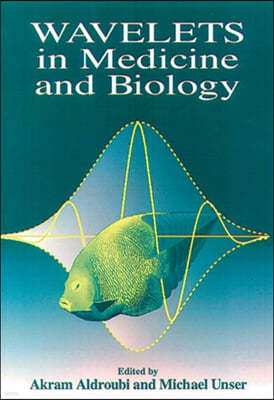 Wavelets in Medicine and Biology