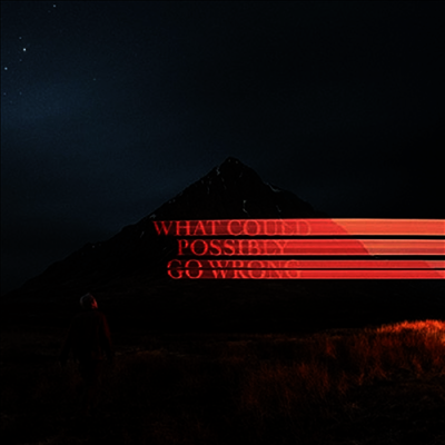 Dominic Fike — What Could Possibly Go Wrong 앨범 커버