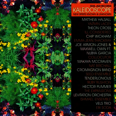 Various Artists — Kaleidoscope: New Spirits Known & Unknown (Deluxe Edition) 앨범 커버