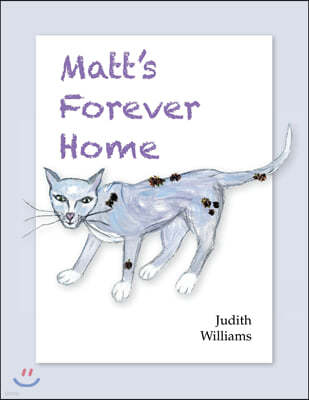 Matt's Forever Home