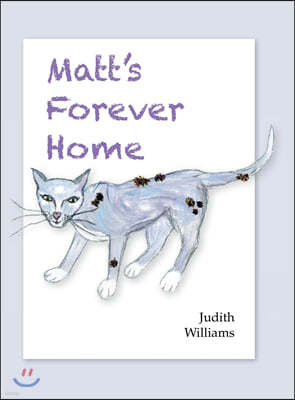 Matt's Forever Home