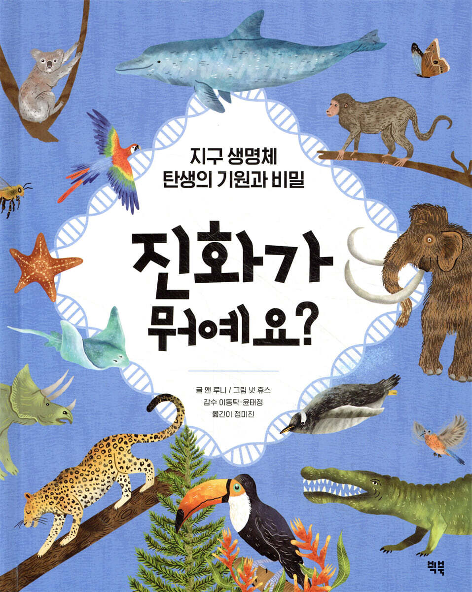 진화가 뭐예요?