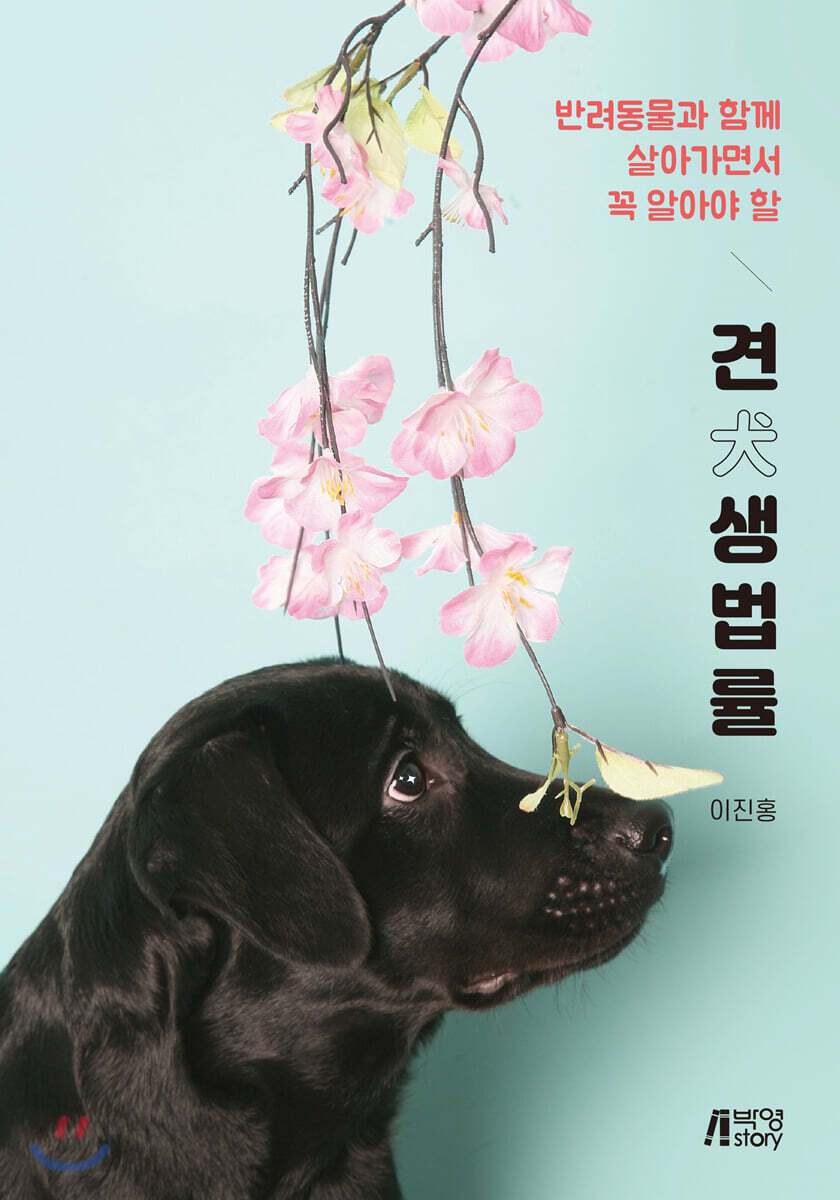 견(犬)생법률