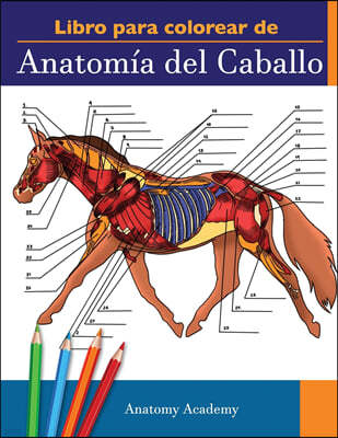 Libro para colorear de Anatomia del Caballo: Libro de Colores de Autoevaluacion muy Detallado de la Anatomia Equina El Regalo Perfecto Para Estudiante