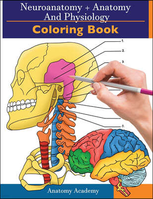 Neuroanatomy + Anatomy and Physiology Coloring Book: 2-in-1 Collection Set Incredibly Detailed Self-Test Color workbook for Studying and Relaxation
