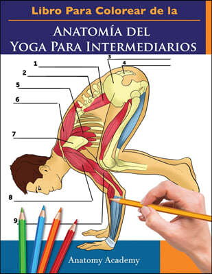 Libro Para Colorear de la Anatomia del Yoga Para Intermediarios: 50+ Ejercicios de Colores con Posturas de Yoga Para Intermediarios El Regalo Perfecto