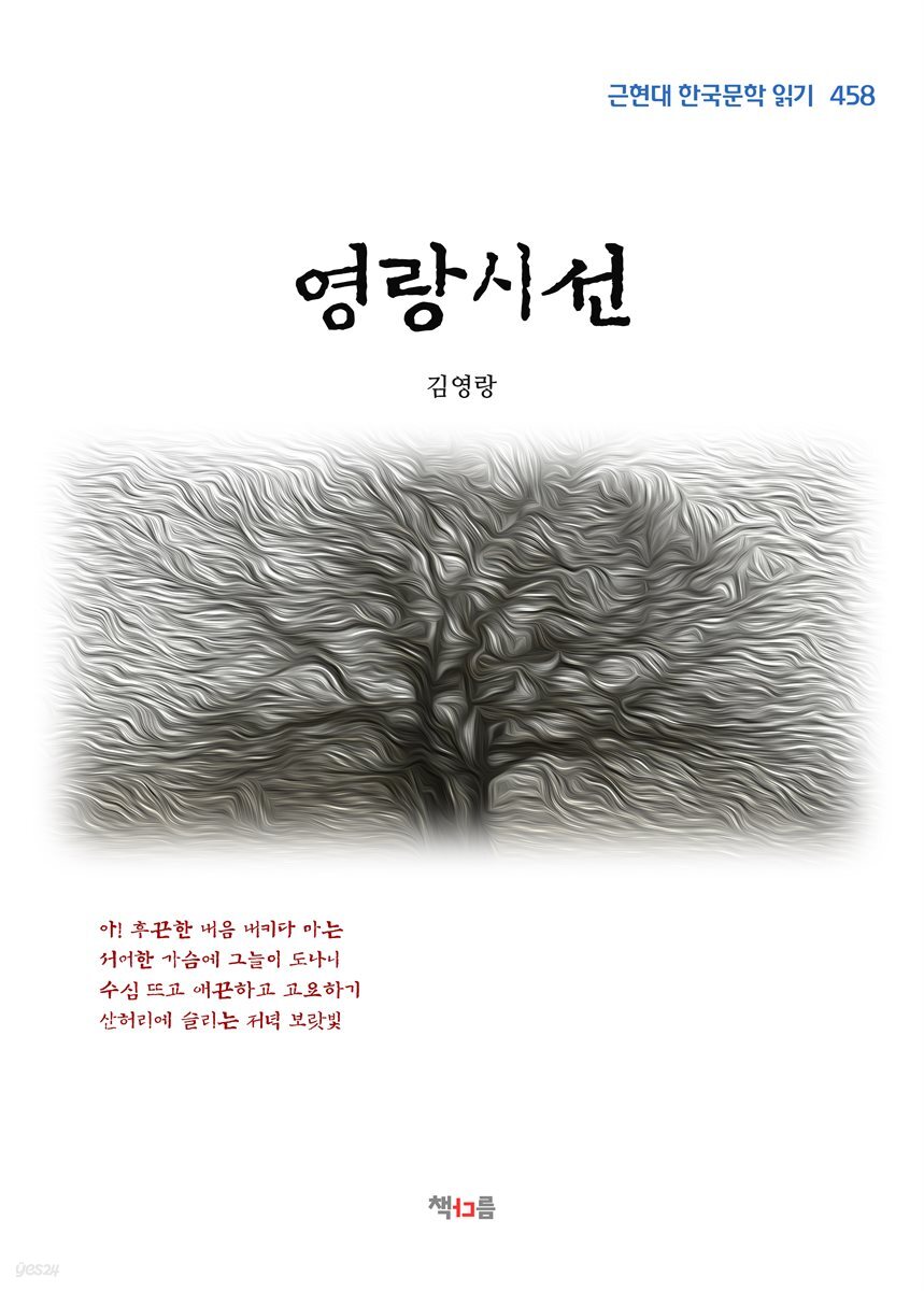 김영랑 영랑시선 (근현대 한국문학 읽기 458)