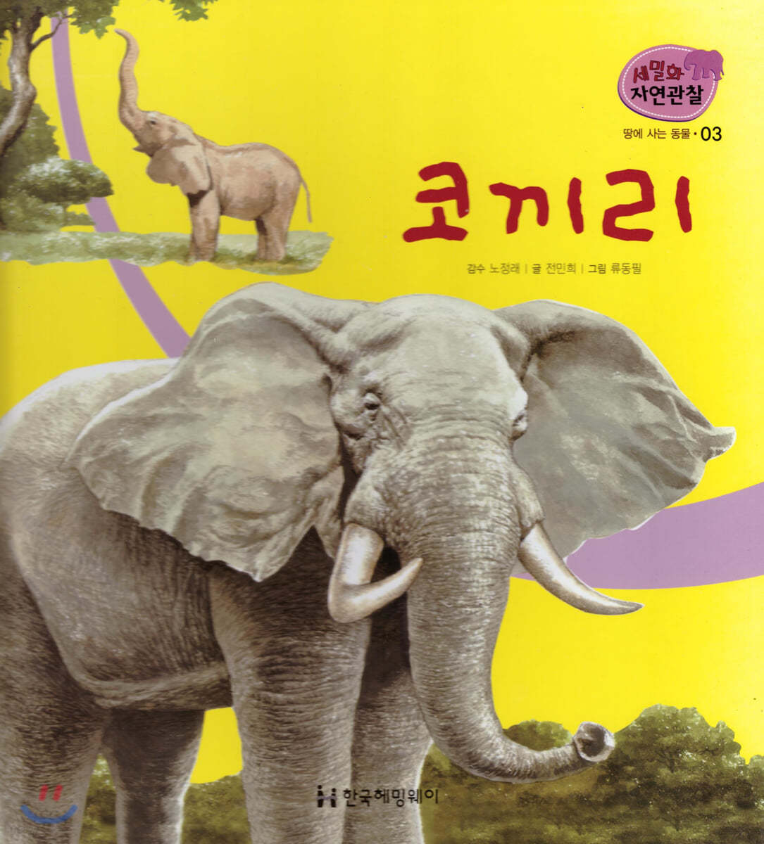 세밀화 자연관찰 03 코끼리