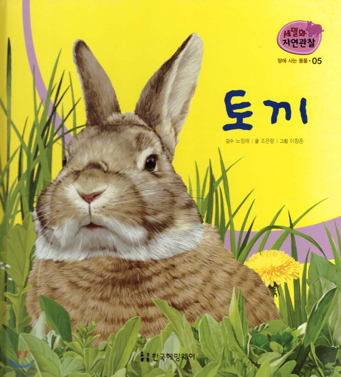 세밀화 자연관찰 05 토끼