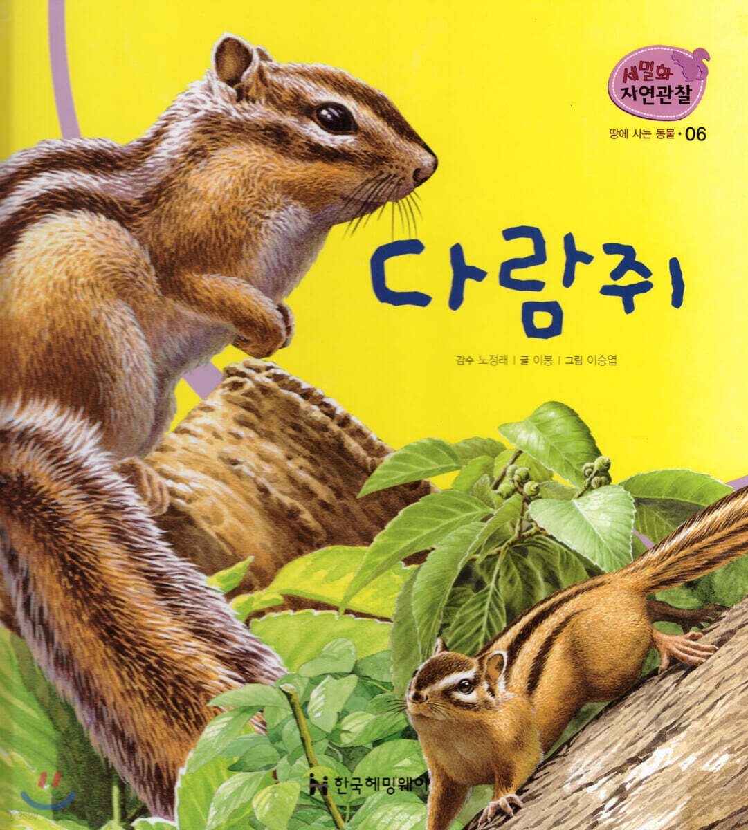 세밀화 자연관찰 06 다람쥐