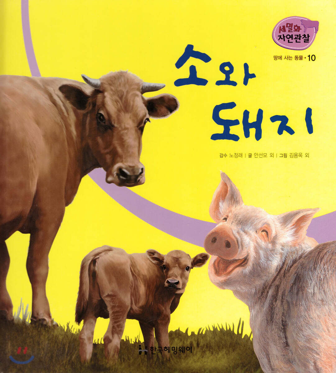 세밀화 자연관찰 10 소와 돼지