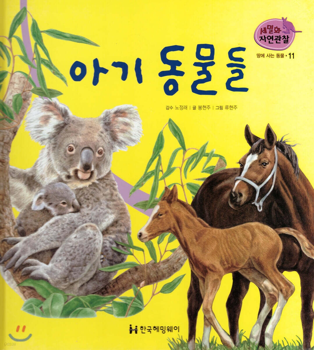 세밀화 자연관찰 11 아기 동물들