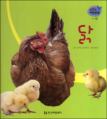 세밀화 자연관찰 12 닭
