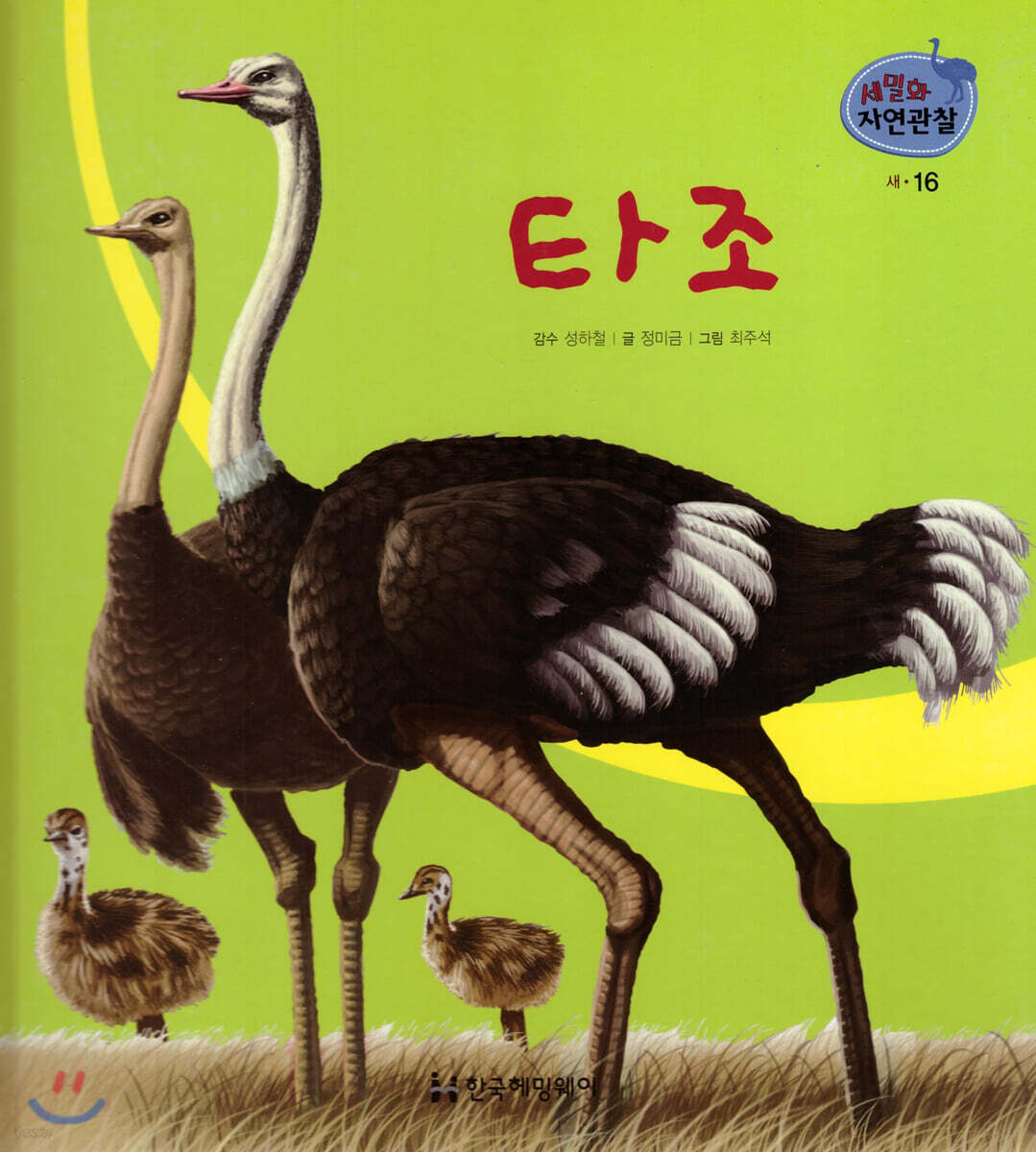 세밀화 자연관찰 16 타조