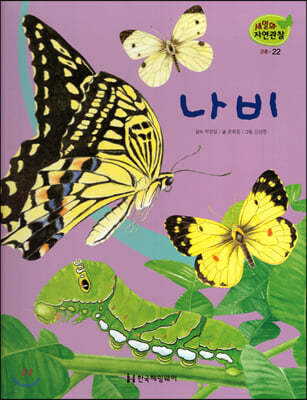 세밀화 자연관찰 22 나비