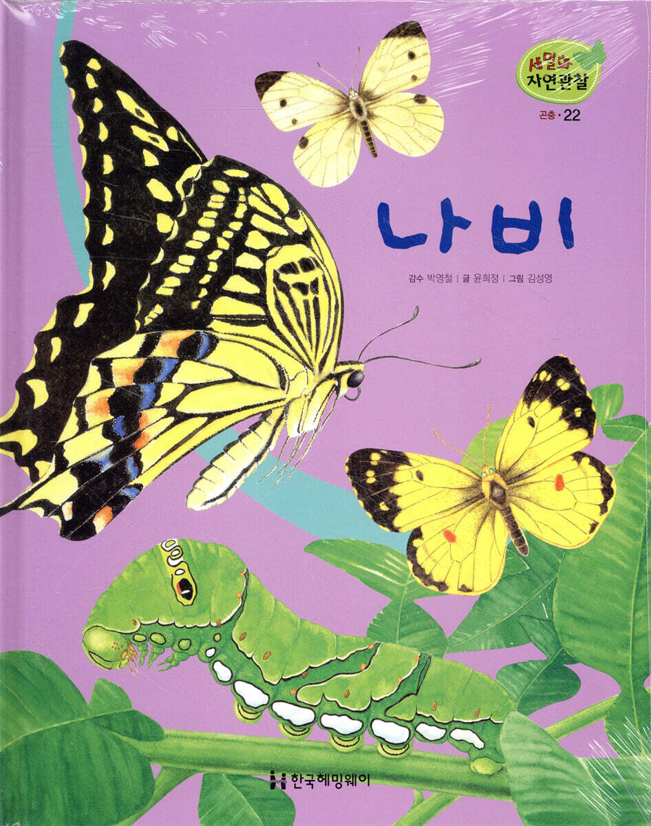 세밀화 자연관찰 22 나비