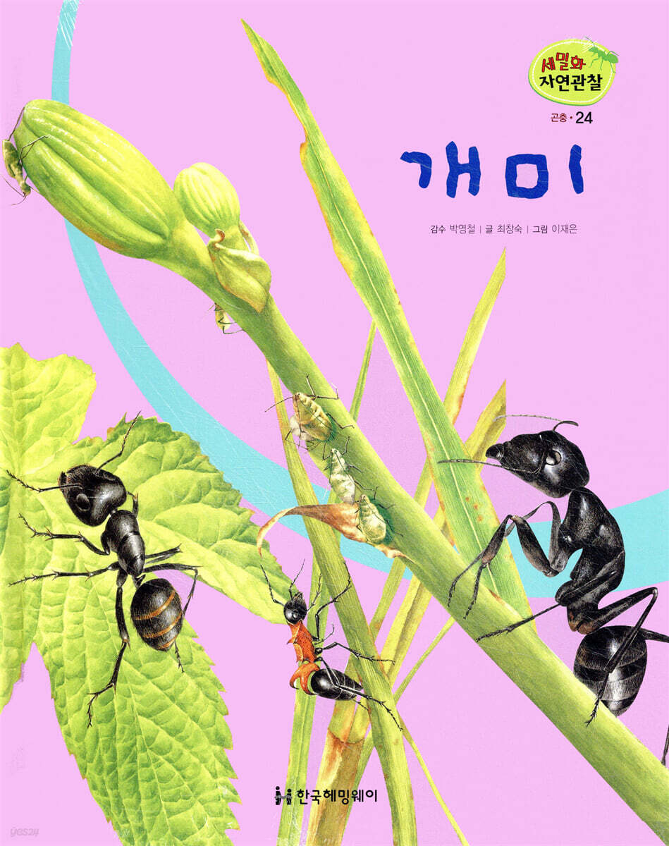 세밀화 자연관찰 24 개미