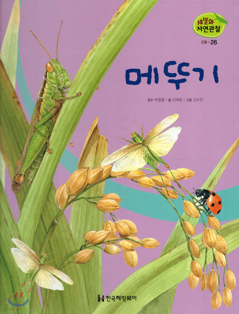세밀화 자연관찰 26 메뚜기