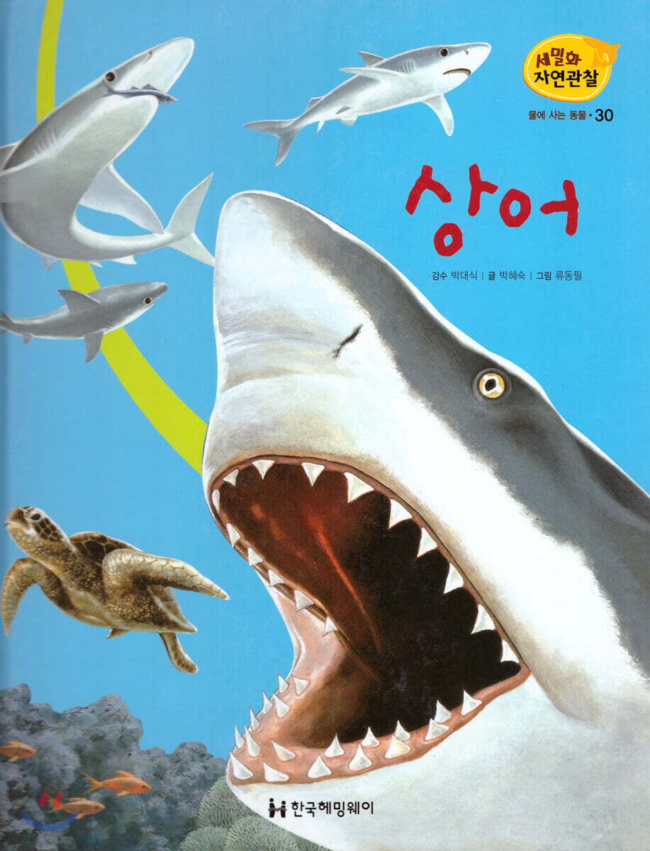 세밀화 자연관찰 30 상어