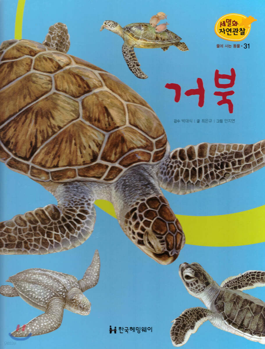 세밀화 자연관찰 31 거북