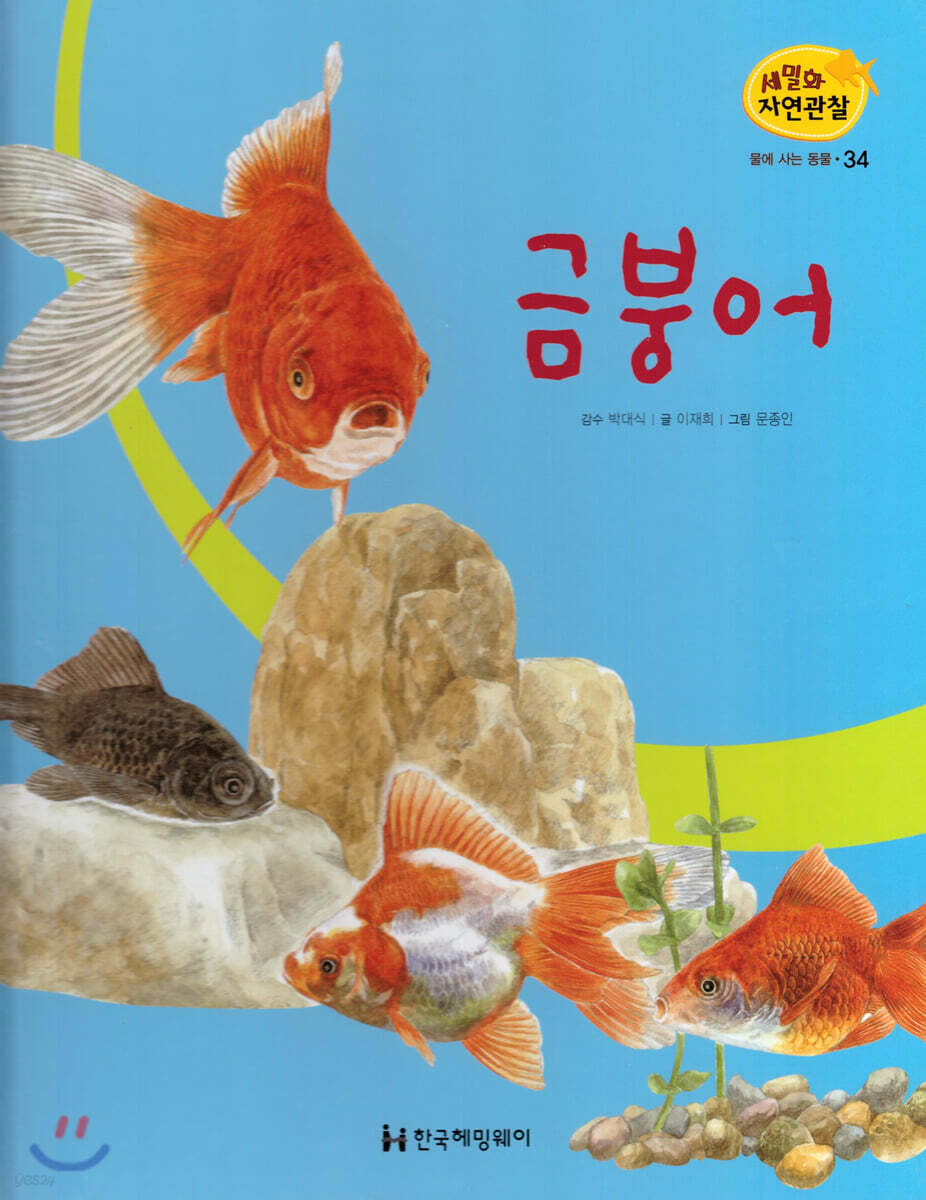 세밀화 자연관찰 34 금붕어