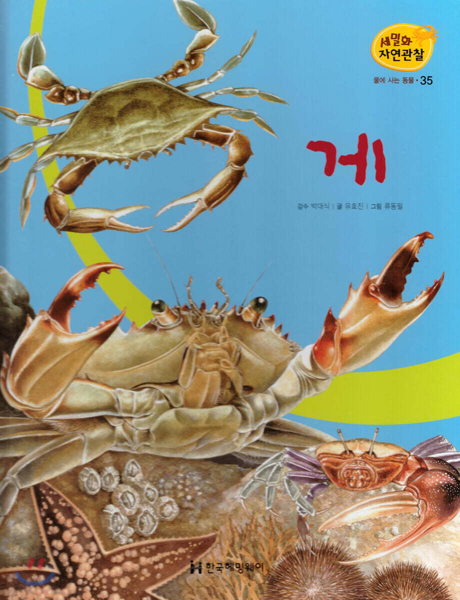 세밀화 자연관찰 35 게
