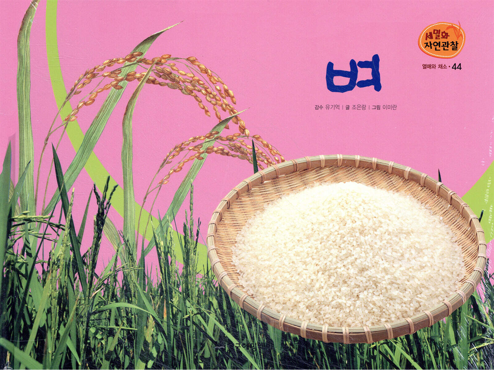 세밀화 자연관찰 44 벼