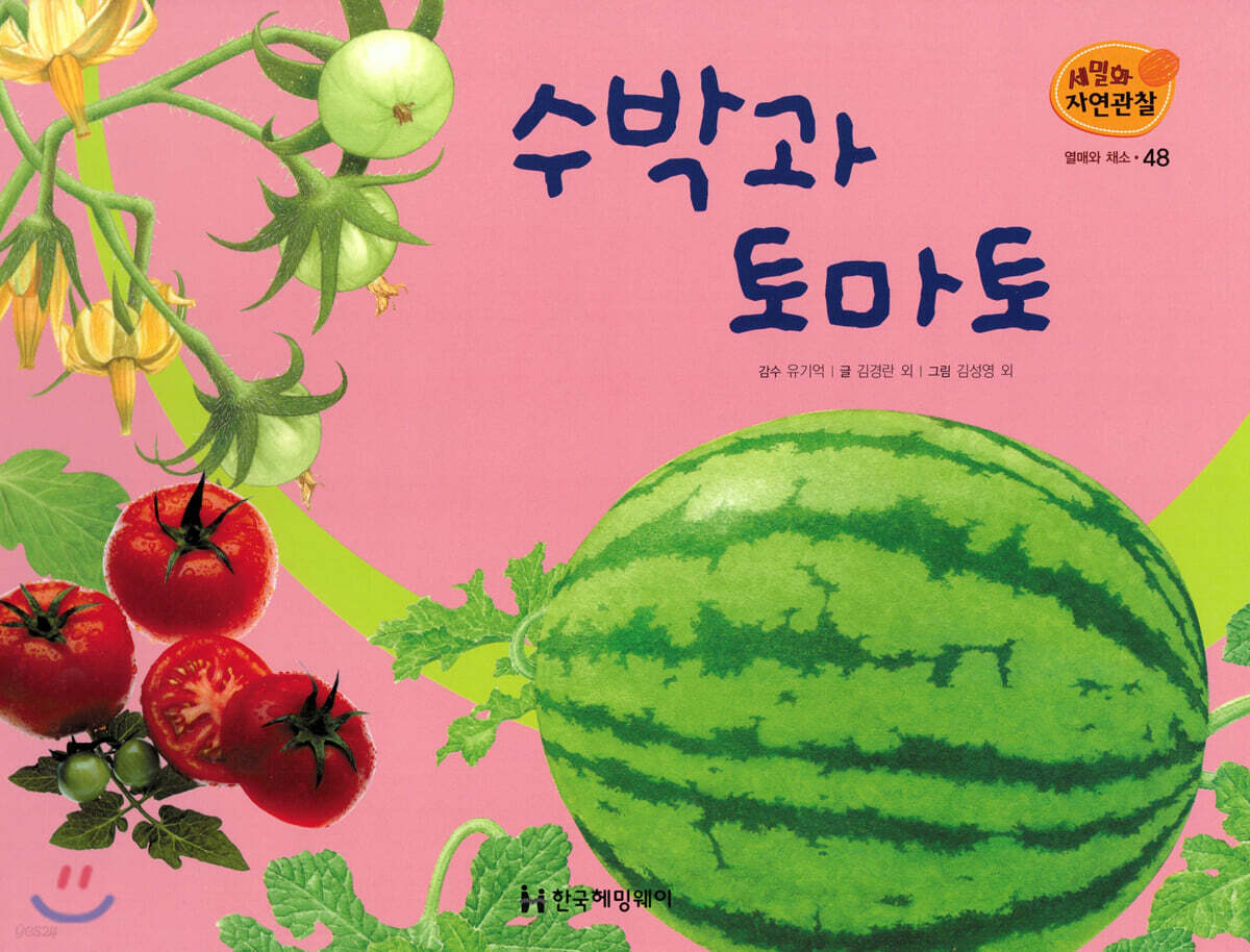 세밀화 자연관찰 48 수박과 토마토