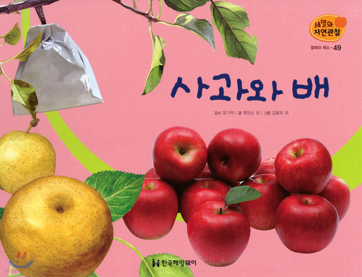 세밀화 자연관찰 49 사과와 배