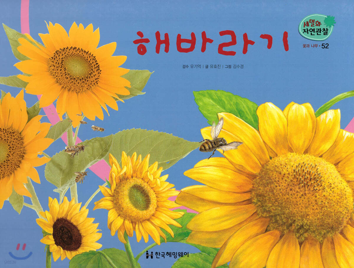 세밀화 자연관찰 52 해바라기