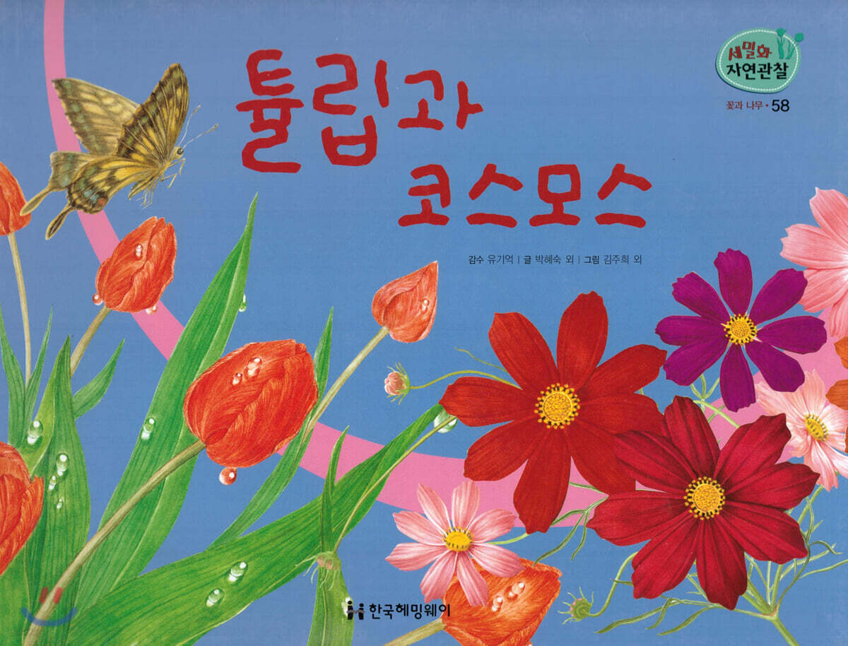 세밀화 자연관찰 58 튤립과 코스모스