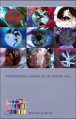 Experimental Cinema in the Digital Age