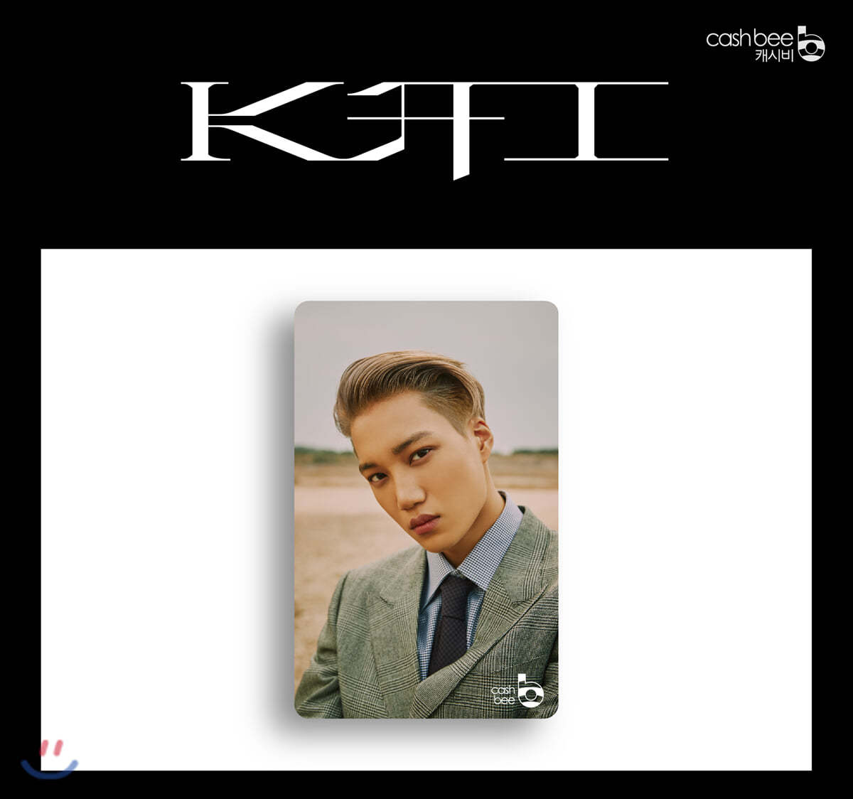 카이 (KAI) - 캐시비 교통카드