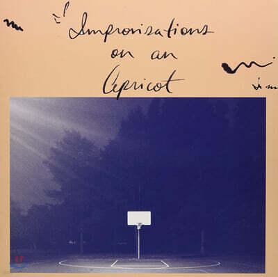 Aqueduct Ensemble — Improvisations On An Apricot 앨범 커버