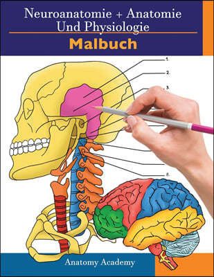 Neuroanatomie + Anatomie und Physiologie Malbuch: 2-in-1-Sammlungssatz Unglaublich detailliertes Arbeitsheft mit Selbsttestfarben fur Studium und Ents