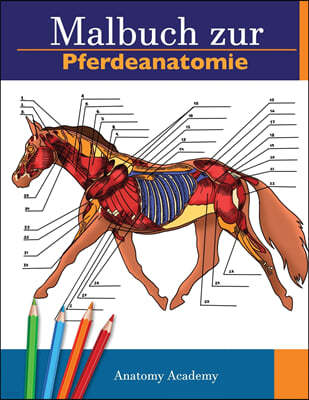 Malbuch zur Pferdeanatomie: Unglaublich detailliertes Arbeitsbuch zum Selbsttest der Pferdeanatomie Perfektes Geschenk fur Tiermedizinstudenten, P