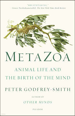 Metazoa: Animal Life and the Birth of the Mind