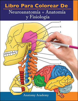 Libro para colorear de Neuroanatomia + Anatomia y Fisiologia: 2-en-1 compilacion Libro de colores de autoevaluacion para estudiar muy detallado para E