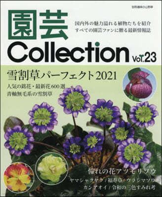 Collection  23