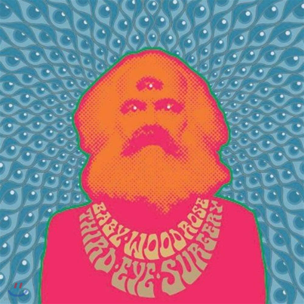 Baby Woodrose (베이비 우드로즈) - Third Eye Surgery [LP]