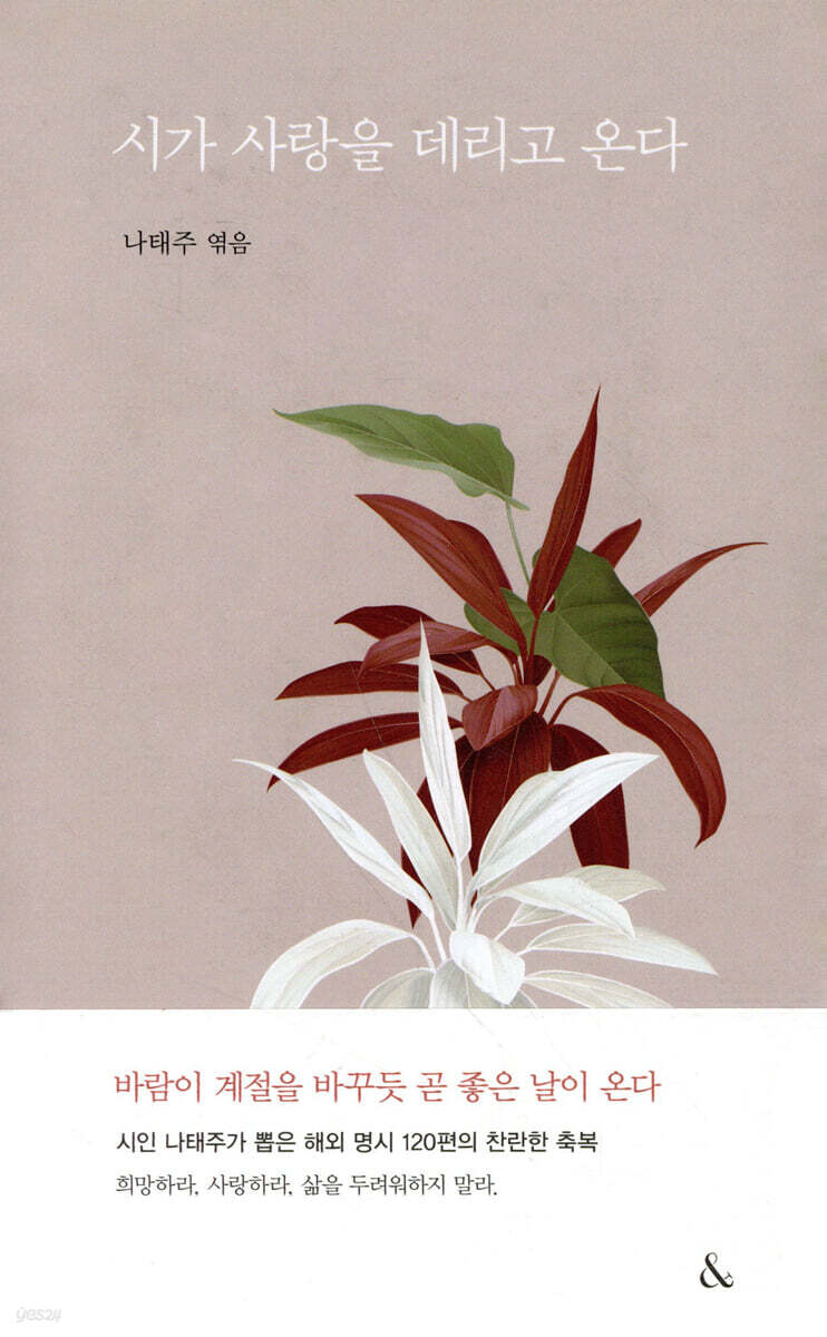 시가 사랑을 데리고 온다