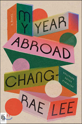 My Year Abroad: A Novel 