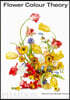 Flower Colour Theory