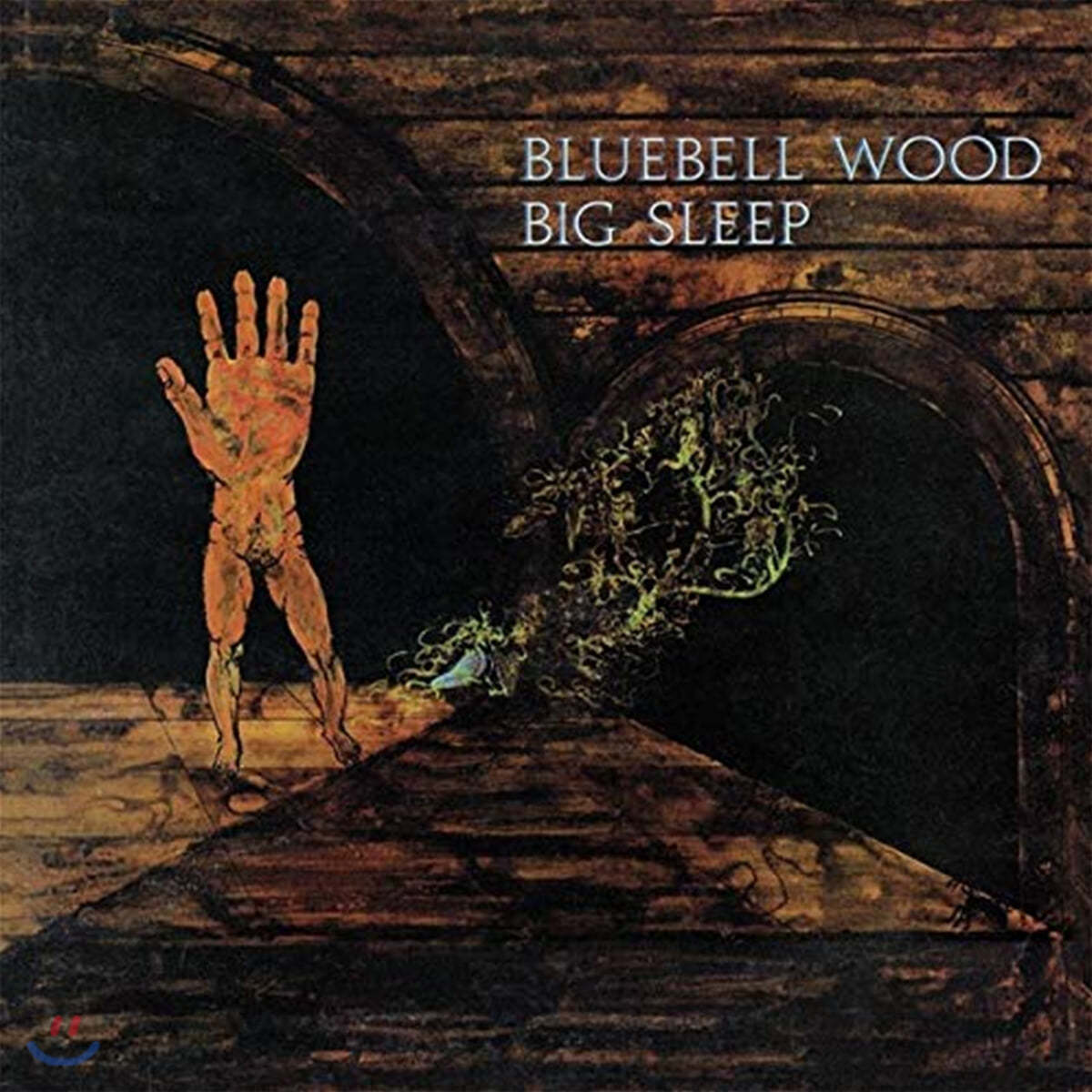 Big Sleep (빅 슬립) - Bluebell Wood [LP] 